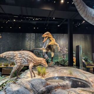 At This New Jersey Museum, Visitors Dig in a Fossil Quarry for Shark Teeth