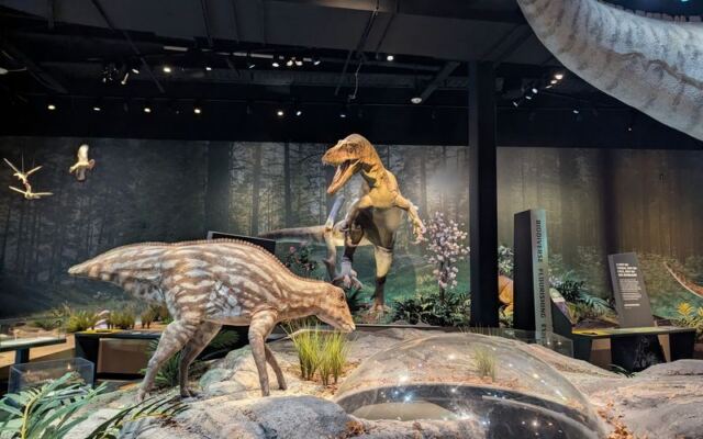 At This New Jersey Museum, Visitors Dig in a Fossil Quarry for Shark Teeth