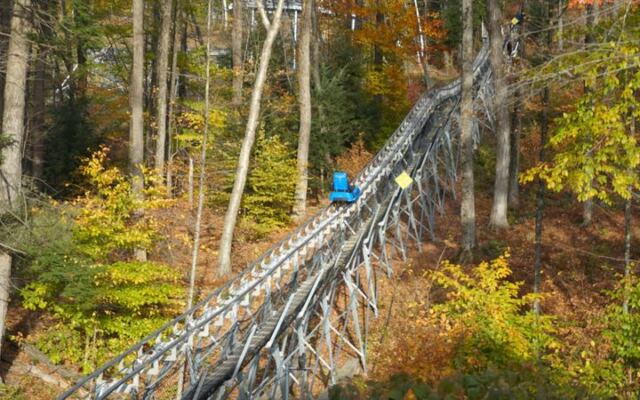 This Massachusetts Mountain Coaster Sends You Twisting Down the Slopes Through Peak Fall Foliage