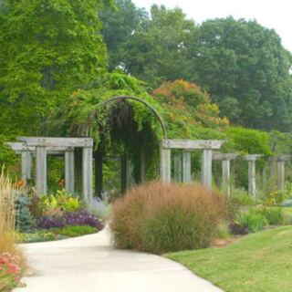 This Little-Known Greensboro Arboretum Packs 14 Plant Collections Into 17 Free Urban Acres