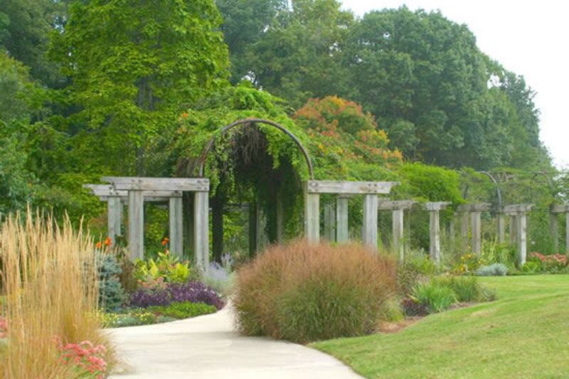 This Little-Known Greensboro Arboretum Packs 14 Plant Collections Into 17 Free Urban Acres