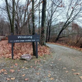 This New Jersey Woodland Site Hides Lenape History Just Off Waterloo Valley Road