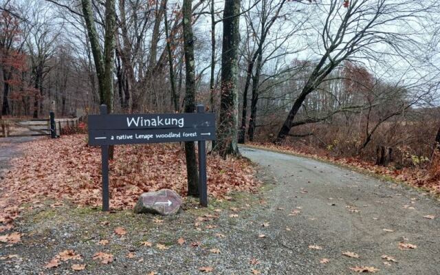 This New Jersey Woodland Site Hides Lenape History Just Off Waterloo Valley Road