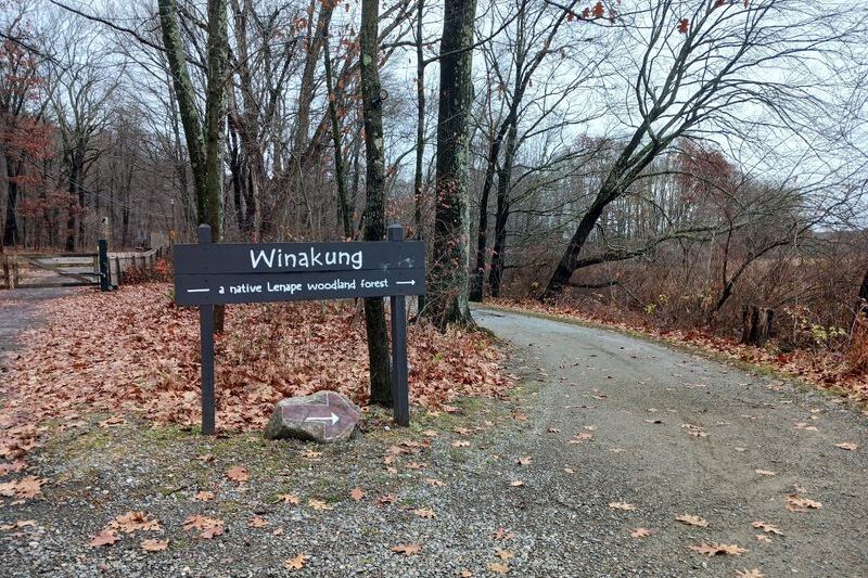 This New Jersey Woodland Site Hides Lenape History Just Off Waterloo Valley Road