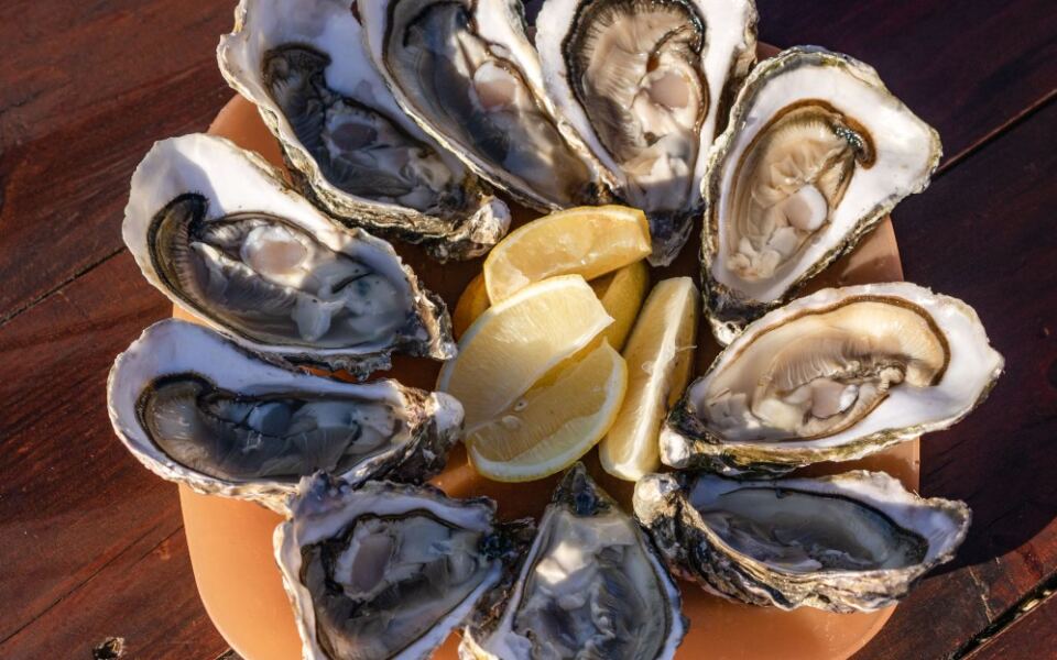 12 Surprising Things You Probably Didn’t Know About Oysters