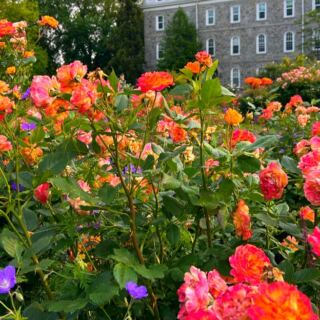 12 Pennsylvania Arboretums and Botanical Gardens That Feel Like Hidden Worlds