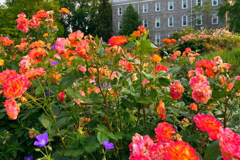 12 Pennsylvania Arboretums and Botanical Gardens That Feel Like Hidden Worlds