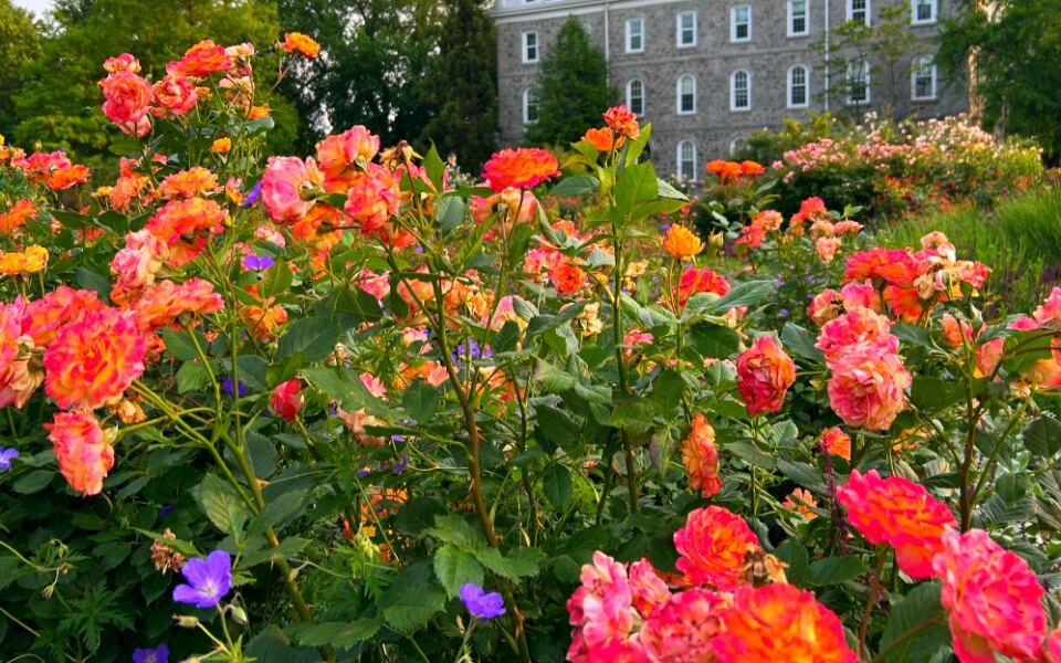 12 Pennsylvania Arboretums and Botanical Gardens That Feel Like Hidden Worlds