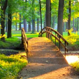 This Large Little Rock Park Combines Forested Trails, Open Fields, and Outdoor Recreation