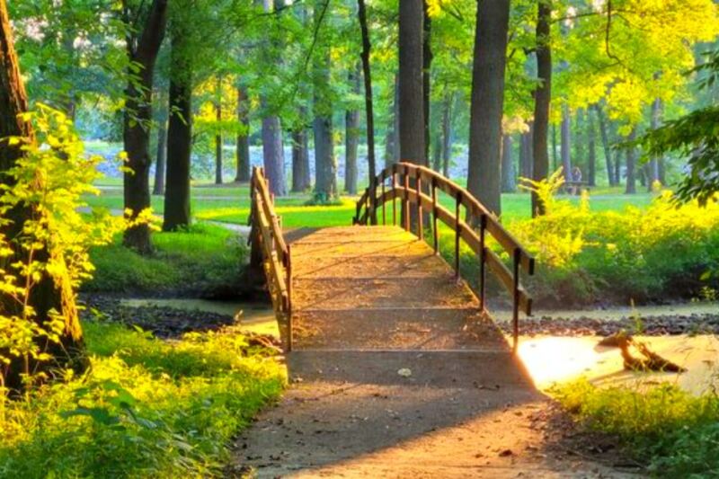 This Large Little Rock Park Combines Forested Trails, Open Fields, and Outdoor Recreation