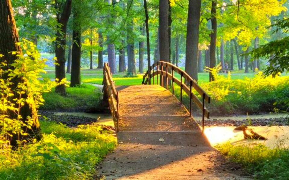This Large Little Rock Park Combines Forested Trails, Open Fields, and Outdoor Recreation