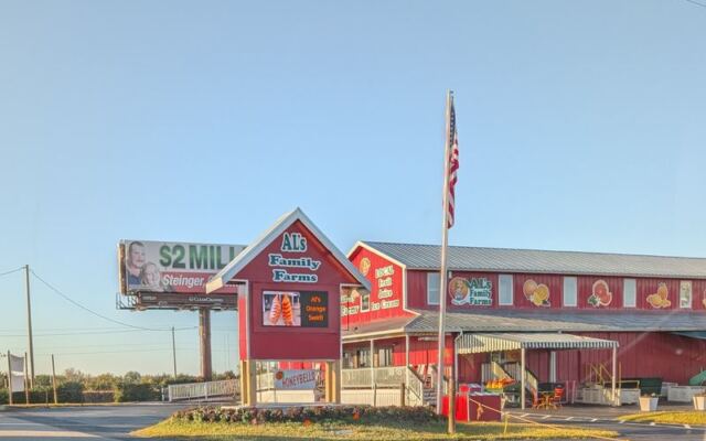 9 Florida Roadside Fruit Stands Where You Fill a Bag With Just-Picked Citrus for Pocket Change