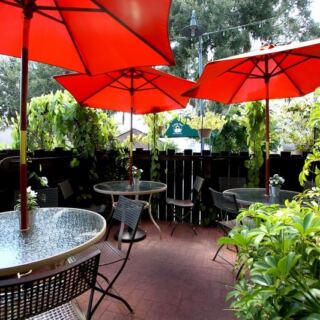 This Hidden Mount Dora Restaurant Feels Like a Storybook Library and Serves One of Florida’s Coziest Dinners