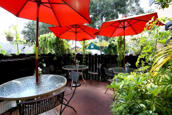 This Hidden Mount Dora Restaurant Feels Like a Storybook Library and Serves One of Florida’s Coziest Dinners