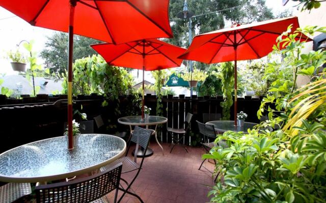 This Hidden Mount Dora Restaurant Feels Like a Storybook Library and Serves One of Florida’s Coziest Dinners