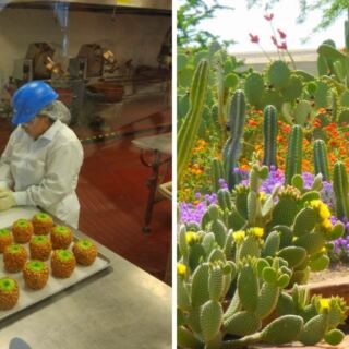 This Nevada Chocolate Factory Has A 3-Acre Cactus Garden Out Back