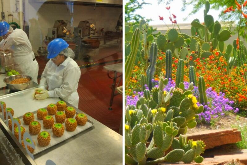 This Nevada Chocolate Factory Has A 3-Acre Cactus Garden Out Back