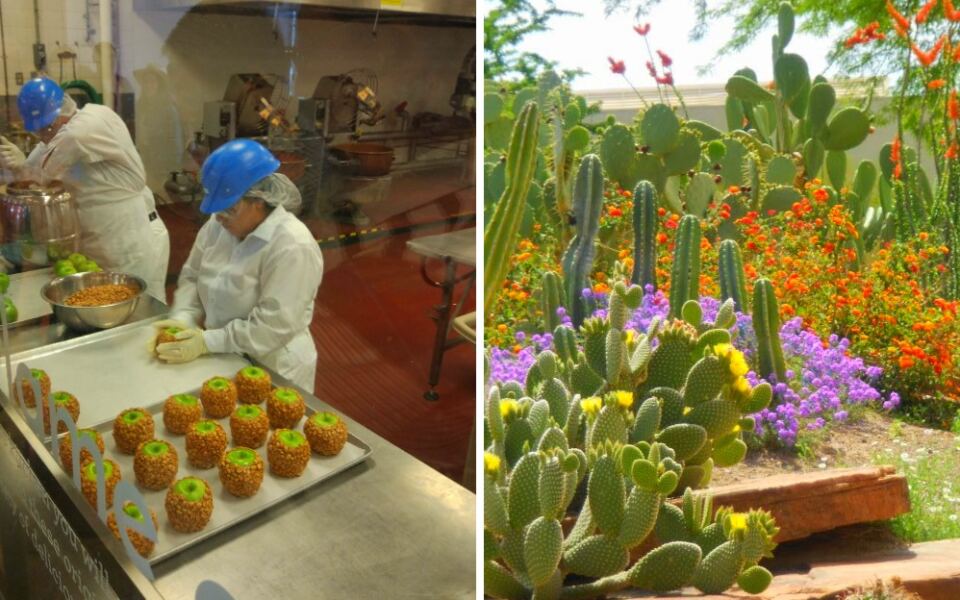 This Nevada Chocolate Factory Has A 3-Acre Cactus Garden Out Back