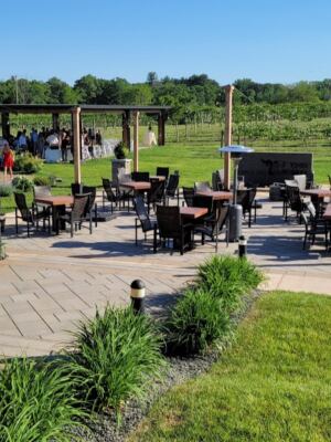 This Minnesota Vineyard Feels Like Wine Country Just 20 Miles From The Twin Cities