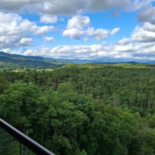 This North Carolina Mountain Restaurant Serves Gordon Ramsay’s Iconic Beef Wellington 12 Floors Up