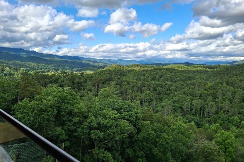 This North Carolina Mountain Restaurant Serves Gordon Ramsay’s Iconic Beef Wellington 12 Floors Up