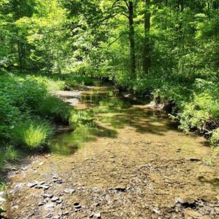 This Underrated Ohio State Park Turns Gold And Crimson In October While The Crowds Head Elsewhere