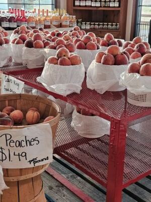 Pick Your Own Peaches Straight Off the Tree at This Gaffney, South Carolina Orchard Stand