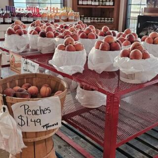 Pick Your Own Peaches Straight Off the Tree at This Gaffney, South Carolina Orchard Stand