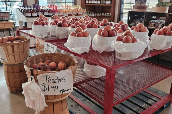 Pick Your Own Peaches Straight Off the Tree at This Gaffney, South Carolina Orchard Stand