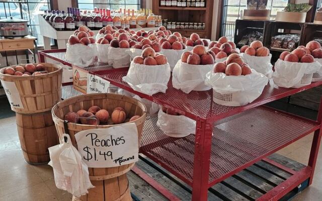 Pick Your Own Peaches Straight Off the Tree at This Gaffney, South Carolina Orchard Stand