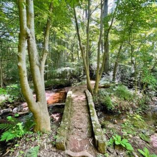 A Lone Redwood Tree Waits Among Peaceful Paths At This Hidden New Jersey Arboretum