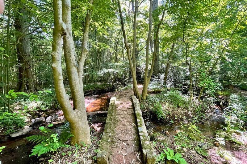 A Lone Redwood Tree Waits Among Peaceful Paths At This Hidden New Jersey Arboretum