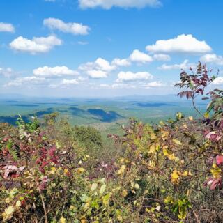 Seven Oklahoma Scenic Drives Where the Ouachita Mountains Turn Red and Gold Every Fall