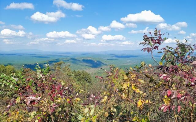 Seven Oklahoma Scenic Drives Where the Ouachita Mountains Turn Red and Gold Every Fall
