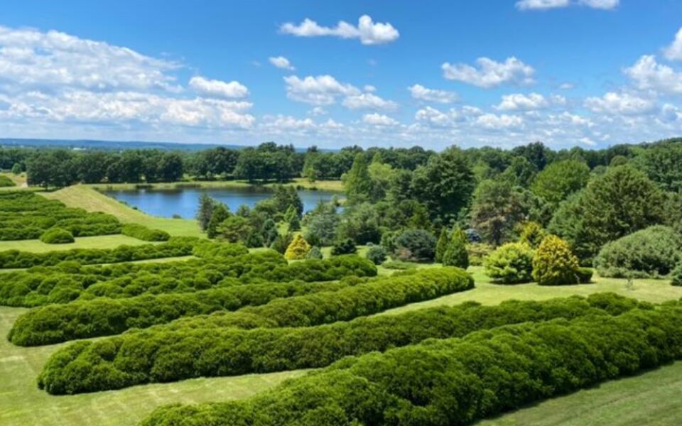 Rows Of Turtles And Prairie Trails Fill This Free Ohio Arboretum Beyond Its Famous Tower