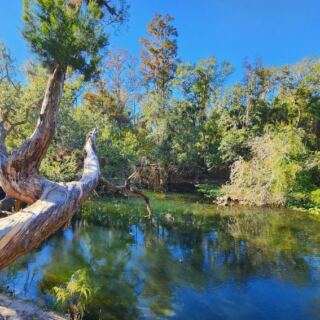 Most People Have No Idea This Wild Green Oasis Is Hiding Just Minutes From Florida’s Busy Malls