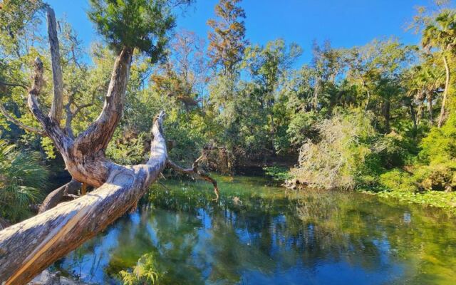 Most People Have No Idea This Wild Green Oasis Is Hiding Just Minutes From Florida’s Busy Malls