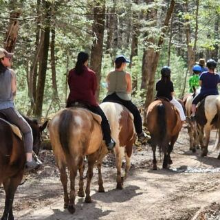 This Stable Inside the Smokies Has Families Coming Back Years Later to Ride the Same Horse