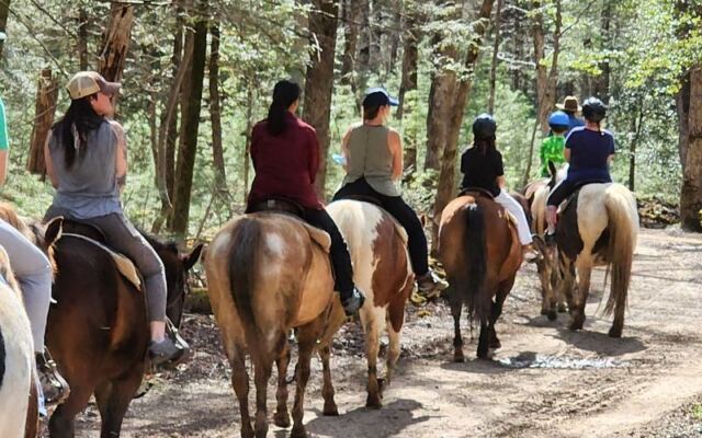 This Stable Inside the Smokies Has Families Coming Back Years Later to Ride the Same Horse