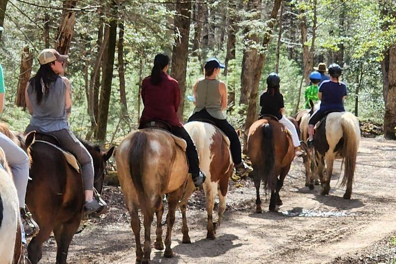 This Stable Inside the Smokies Has Families Coming Back Years Later to Ride the Same Horse