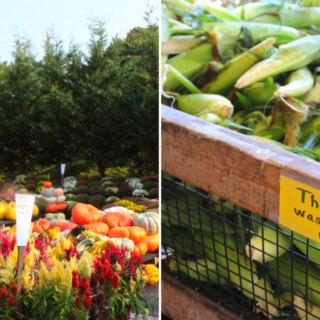 This Amish-Run Pennsylvania Market Has Sweet Corn, Flower Bouquets, Jams, and Fall Pumpkins
