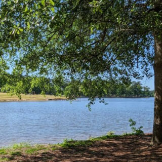 This Mississippi State Park Wraps Its Campsites Around a Lake So Pretty You Can Swim Right Off the Beach