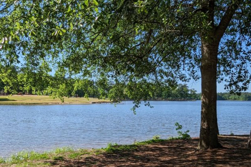 This Mississippi State Park Wraps Its Campsites Around a Lake So Pretty You Can Swim Right Off the Beach