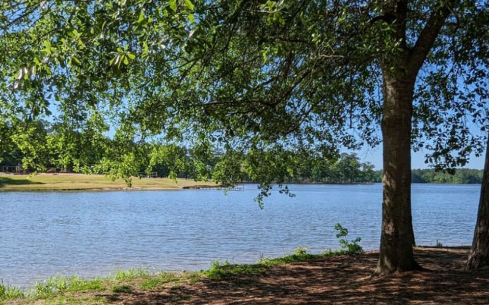 This Mississippi State Park Wraps Its Campsites Around a Lake So Pretty You Can Swim Right Off the Beach