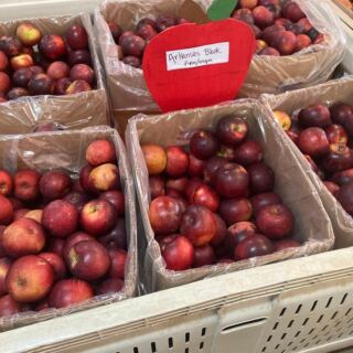 This Tennessee Orchard Near Chattanooga Keeps Families Coming Back for Bags of Apples and Fried Pies