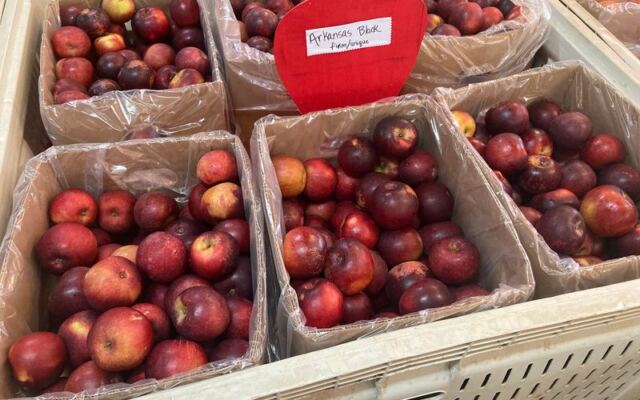 This Tennessee Orchard Near Chattanooga Keeps Families Coming Back for Bags of Apples and Fried Pies