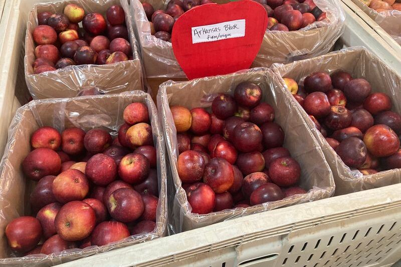 This Tennessee Orchard Near Chattanooga Keeps Families Coming Back for Bags of Apples and Fried Pies