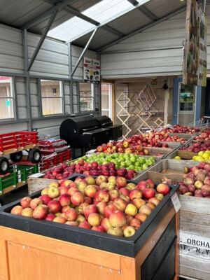 This Cash-Only Ohio Amish Market Fills A Cart With Country Staples Most Stores Never Carry