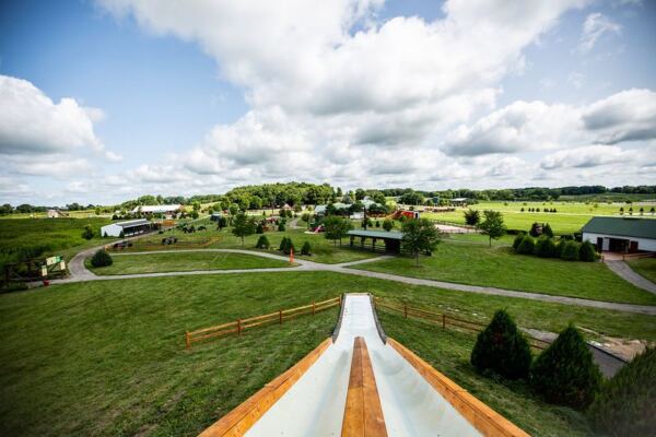 This Massive Illinois Tulip Field Feels Like You’ve Stepped Straight Into Holland