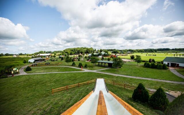 This Massive Illinois Tulip Field Feels Like You’ve Stepped Straight Into Holland